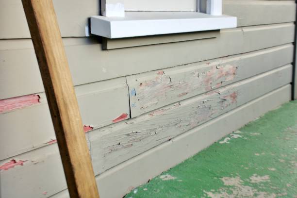 Best Siding Painting and Refinishing  in Huntington Woods, MI